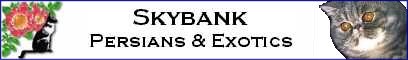 skybankbanner.jpg (9453 bytes)